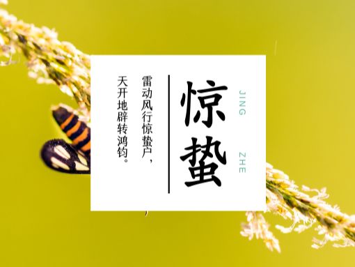 驚蟄到了，青島美泰塑膠為您簡單介紹這一節(jié)氣