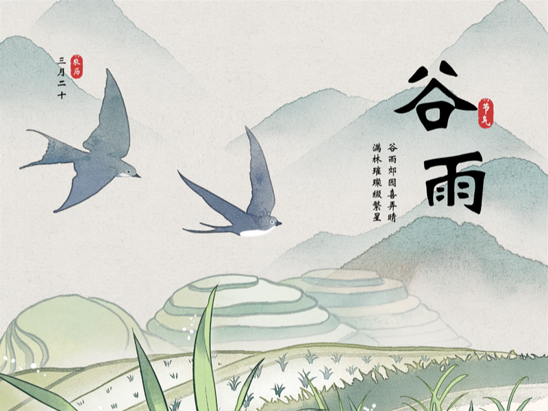 今日谷雨-谷雨郊園喜弄晴 滿(mǎn)林璀璨綴繁星